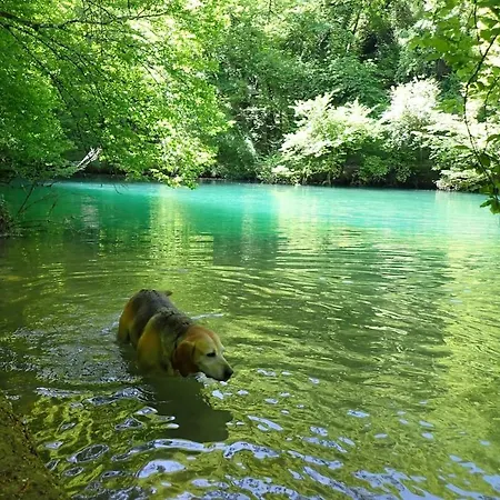Maison Individuelle Avec Terrain Arbore Mayrinhac-Lentour