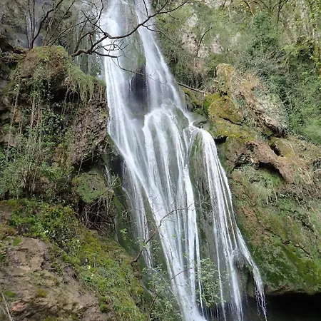 Maison Individuelle Avec Terrain Arbore *