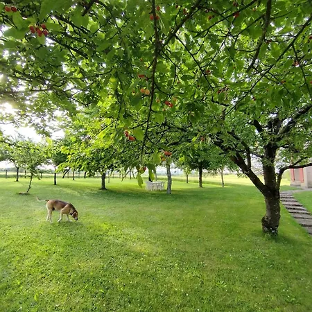 Сasa de vacaciones Maison Individuelle Avec Terrain Arboré Mayrinhac-Lentour