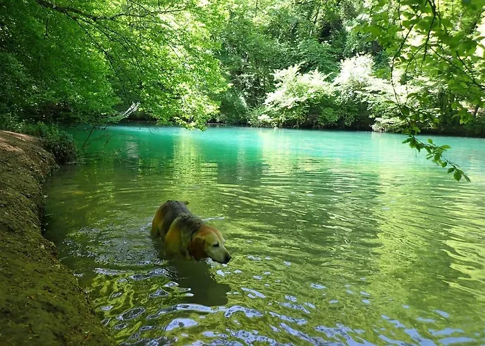 Maison Individuelle Avec Terrain Arbore Mayrinhac-Lentour