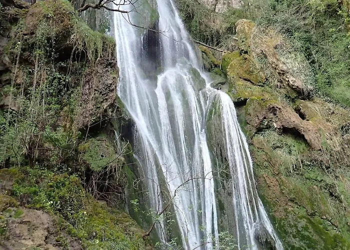 Maison Individuelle Avec Terrain Arboré *