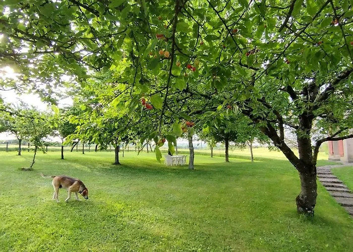 Сasa de vacaciones Maison Individuelle Avec Terrain Arboré Mayrinhac-Lentour